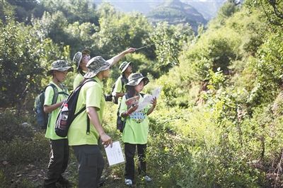 孩子学习注意力训练